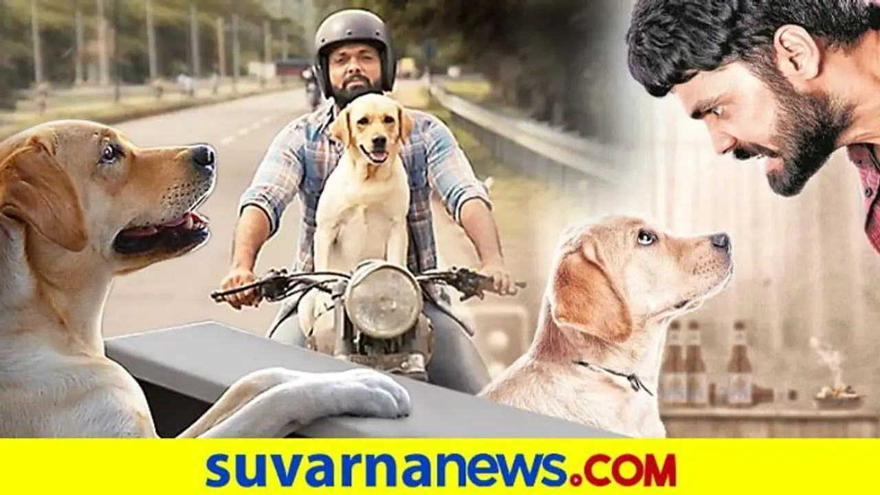 777 Charlie: Karnataka CM Basavaraj Bommai watches Rakshit Shetty movie; here's how he reacted