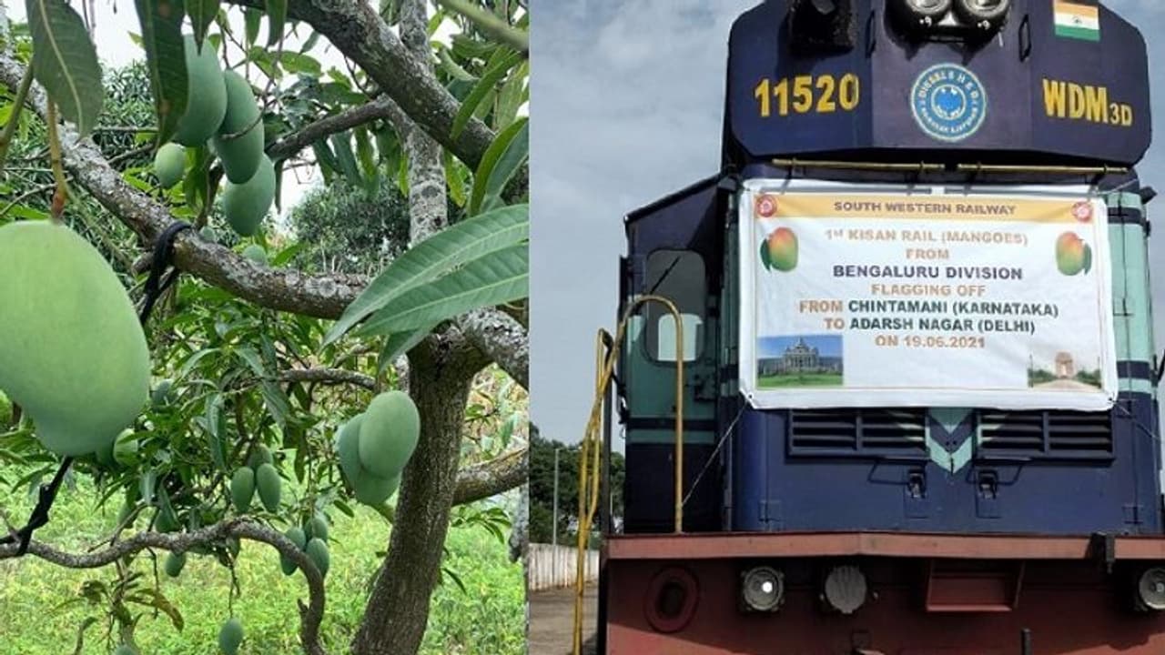 ಕೋಲಾರದಿಂದ 250 ಟನ್ ಮಾವು ಹೊತ್ತು ದೆಹಲಿಗೆ ತೆರಳಿದ ಕರ್ನಾಟಕದ ಮೊದಲ ಕಿಸಾನ್ ರೈಲು!