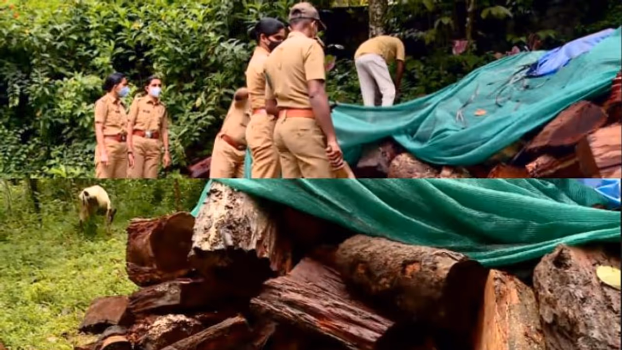 മുട്ടിൽ മരം മുറി കേസ്; അന്വേഷണത്തിൽ വനം വകുപ്പിൽ ഭിന്നത, സർക്കാരിന് ഇരട്ടത്താപ്പെന്ന് ആരോപണം മുട്ടിൽ മരം മുറി കേസ്; അന്വേഷണത്തിൽ വനം വകുപ്പിൽ ഭിന്നത, സർക്കാരിന് ഇരട്ടത്താപ്പെന്ന് ആരോപണം