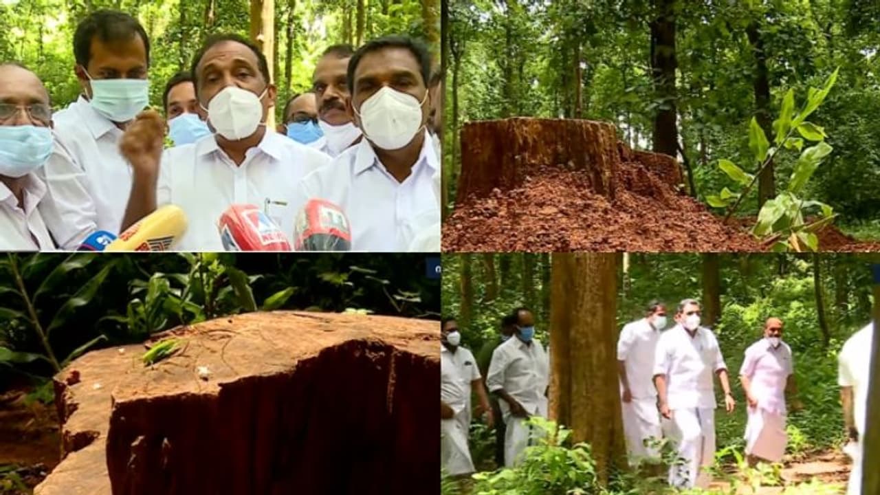 കോന്നി കല്ലേലി വനത്തിൽ ഉദ്യോഗസ്ഥരുടെ അനുമതിയോടെ തേക്ക് വെട്ടി കടത്തിയെന്ന് യുഡിഎഫ് നേതാക്കൾ കോന്നി കല്ലേലി വനത്തിൽ ഉദ്യോഗസ്ഥരുടെ അനുമതിയോടെ തേക്ക് വെട്ടി കടത്തിയെന്ന് യുഡിഎഫ് നേതാക്കൾ