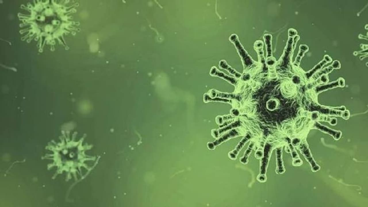 വീണ്ടും 'ഗ്രീന്‍ ഫംഗസ്' കേസ്; എങ്ങനെയാണിത് ബ്ലാക്ക് ഫംഗസില്‍ നിന്ന് വ്യത്യസ്തമാകുന്നത്?