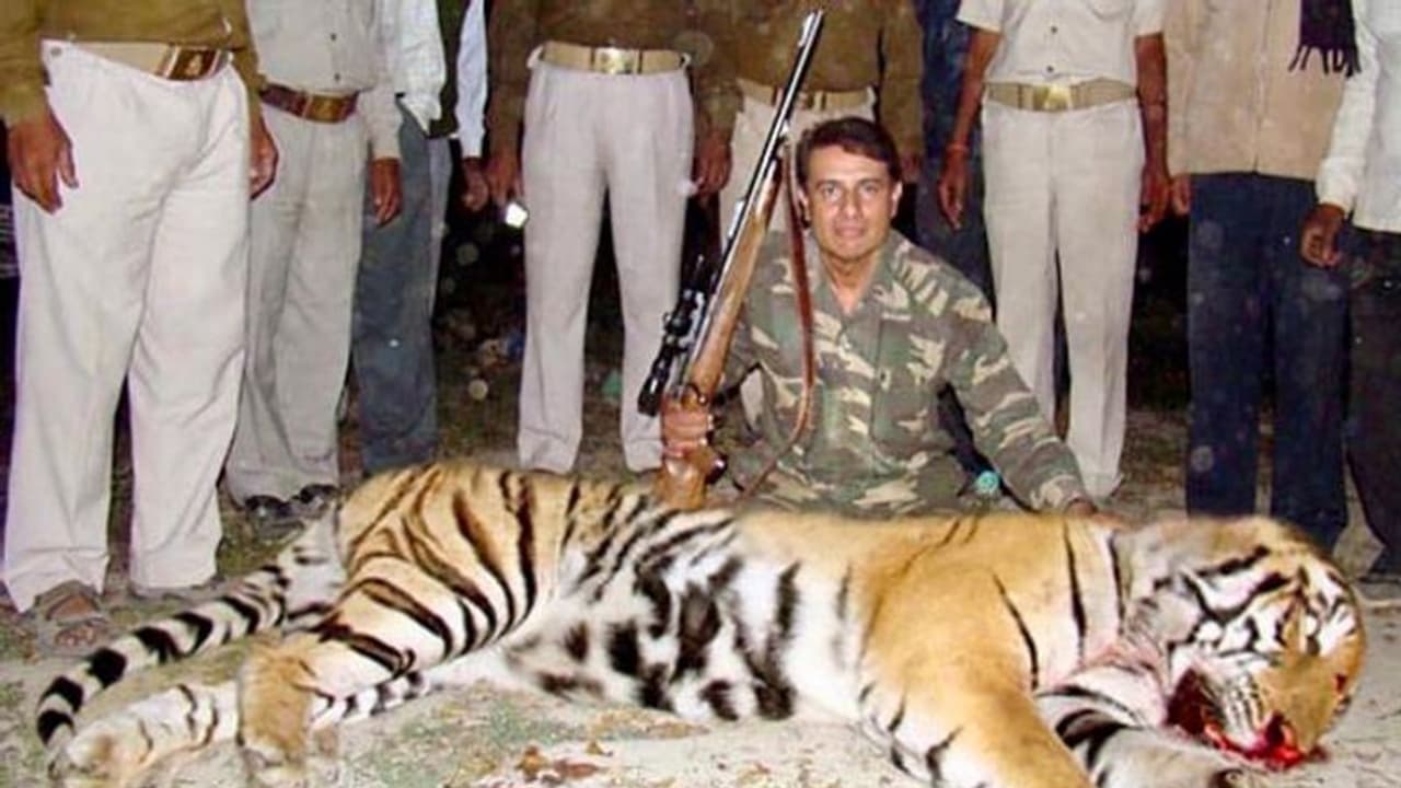 వాస్తవాలను వక్రీకరించారు : విద్యాబాలన్ ‘‘షెర్నీ’’ చిత్రబృందానికి.. పులిని చంపిన షూటర్ అస్గర్ నోటీసులు వాస్తవాలను వక్రీకరించారు : విద్యాబాలన్ ‘‘షెర్నీ’’ చిత్రబృందానికి.. పులిని చంపిన షూటర్ అస్గర్ నోటీసులు