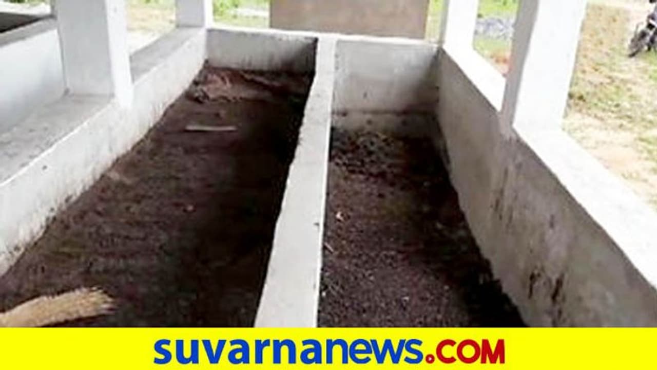 ರಾತ್ರೋ ರಾತ್ರಿ 8 ಕ್ವಿಂಟಾಲ್ ಗೋವಿನ ಸಗಣಿ ಹೊತ್ತೊಯ್ದ ಕಳ್ಳರು! ರಾತ್ರೋ ರಾತ್ರಿ 8 ಕ್ವಿಂಟಾಲ್ ಗೋವಿನ ಸಗಣಿ ಹೊತ್ತೊಯ್ದ ಕಳ್ಳರು!