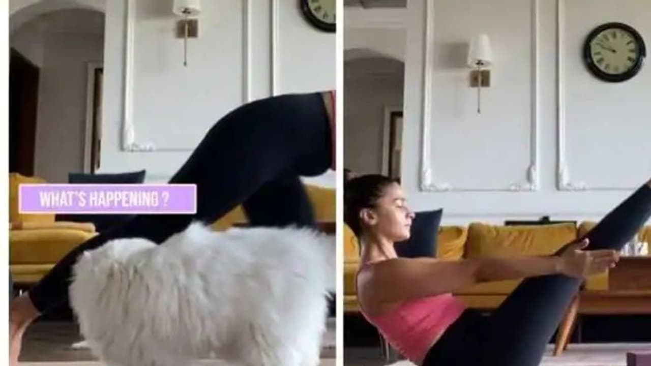Alia Bhatt shows off her perfect Yoga poses; also look what her cat 'Edward' does (Watch Video) Alia Bhatt shows off her perfect Yoga poses; also look what her cat 'Edward' does (Watch Video)