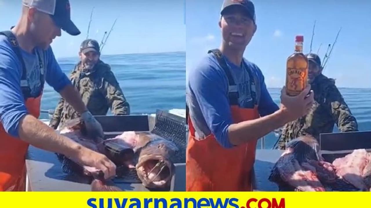 ಬಲೆ ಬೀಸಿ ಹಿಡಿದ ಮೀನಿನ ಹೊಟ್ಟೆಯೊಳಗೆ ಫುಲ್ ಬಾಟಲ್ ವಿಸ್ಕಿ; ವಿಡಿಯೋ ವೈರಲ್ ಬಲೆ ಬೀಸಿ ಹಿಡಿದ ಮೀನಿನ ಹೊಟ್ಟೆಯೊಳಗೆ ಫುಲ್ ಬಾಟಲ್ ವಿಸ್ಕಿ; ವಿಡಿಯೋ ವೈರಲ್