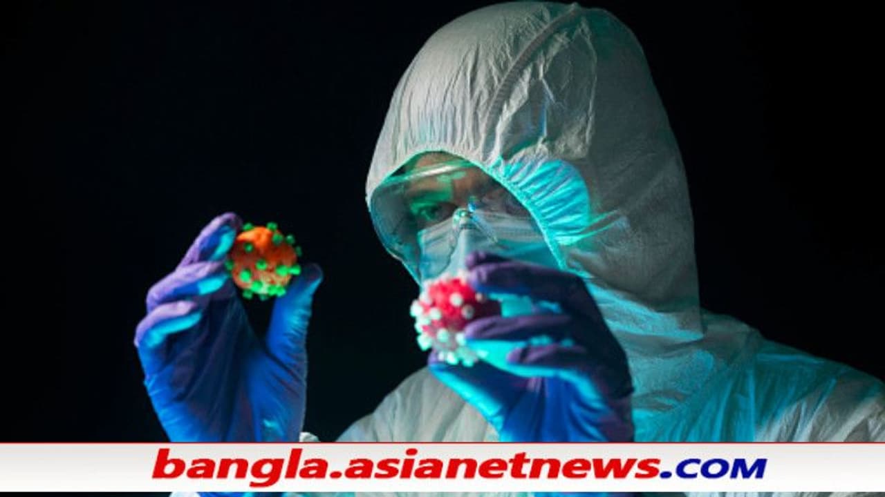 নতুন আতঙ্কের নাম কাপ্পা, যোগীরাজ্যে ২ জনের শরীরে মিলল এই প্রজাতি নতুন আতঙ্কের নাম কাপ্পা, যোগীরাজ্যে ২ জনের শরীরে মিলল এই প্রজাতি