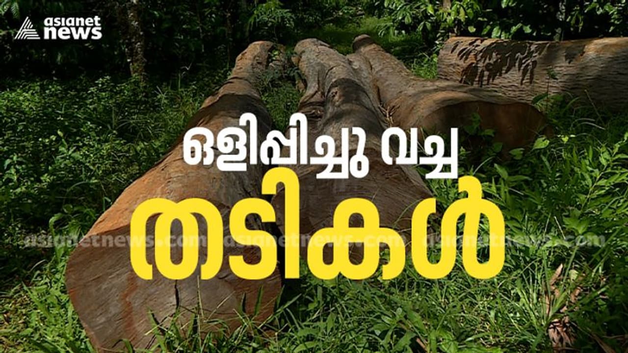 പൊന്തക്കാട്ടില് ഒളിപ്പിച്ച് വച്ച നിലയിൽ ഈട്ടിമരങ്ങള്; കൊള്ളക്കാരെ സഹായിച്ച് ഉദ്യോഗസ്ഥര് |Investigation പൊന്തക്കാട്ടില് ഒളിപ്പിച്ച് വച്ച നിലയിൽ ഈട്ടിമരങ്ങള്; കൊള്ളക്കാരെ സഹായിച്ച് ഉദ്യോഗസ്ഥര് |Investigation
