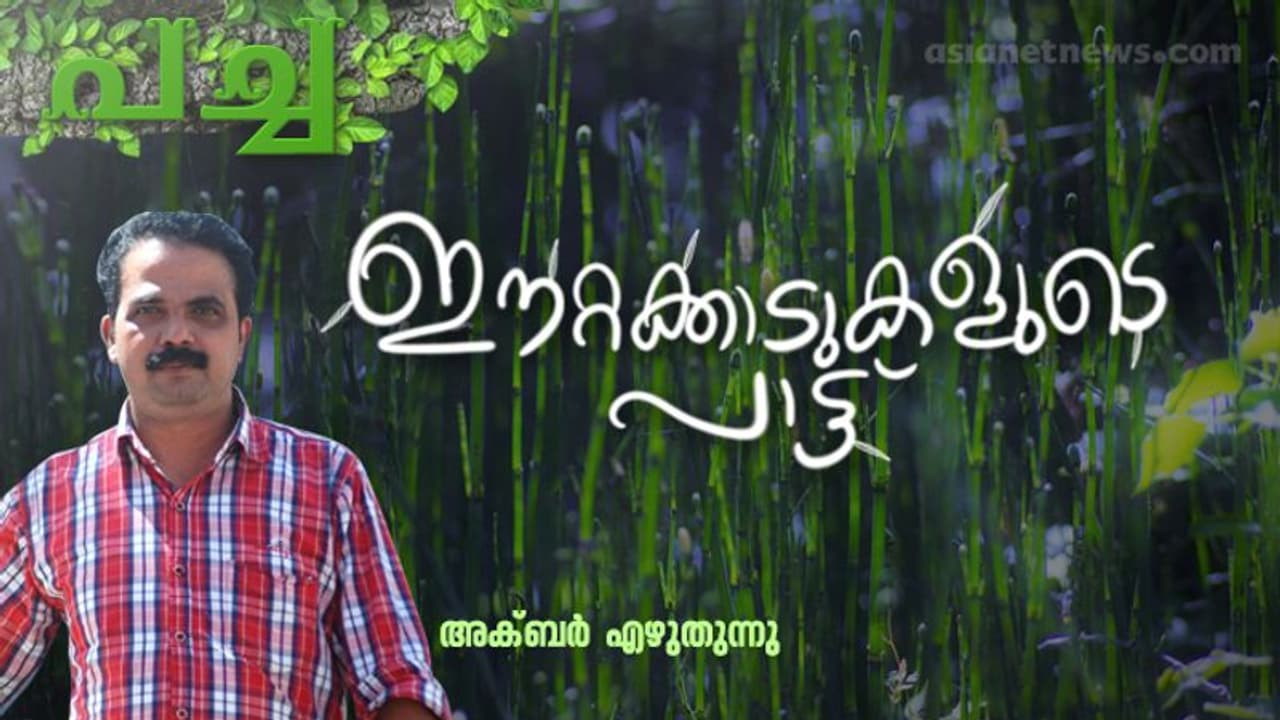 പുല്ലാങ്കുഴലിലെ നിലവിളികള്! പുല്ലാങ്കുഴലിലെ നിലവിളികള്!
