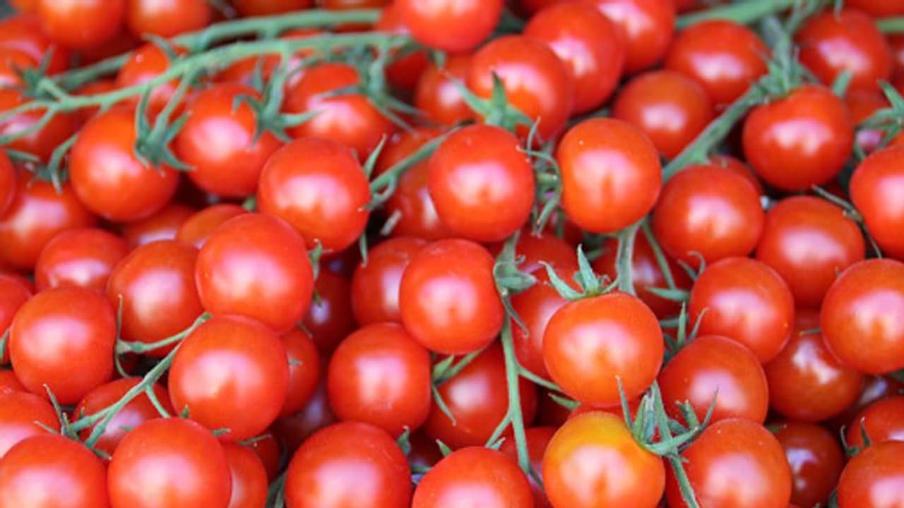 ಟೊಮೆಟೋ ದರ ಏರಿದರೂ ರೈತನ ಜೇಬು ಖಾಲಿ