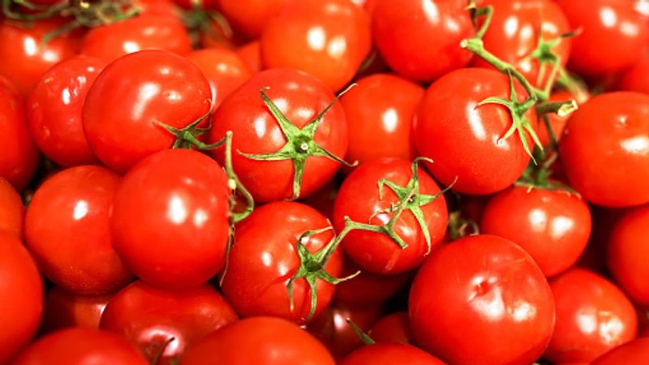 অল্প দিনেই পচে যাচ্ছে টমেটো? এই উপায়গুলি মেনে চললে অনেক দিন থাকবে তরতাজা 