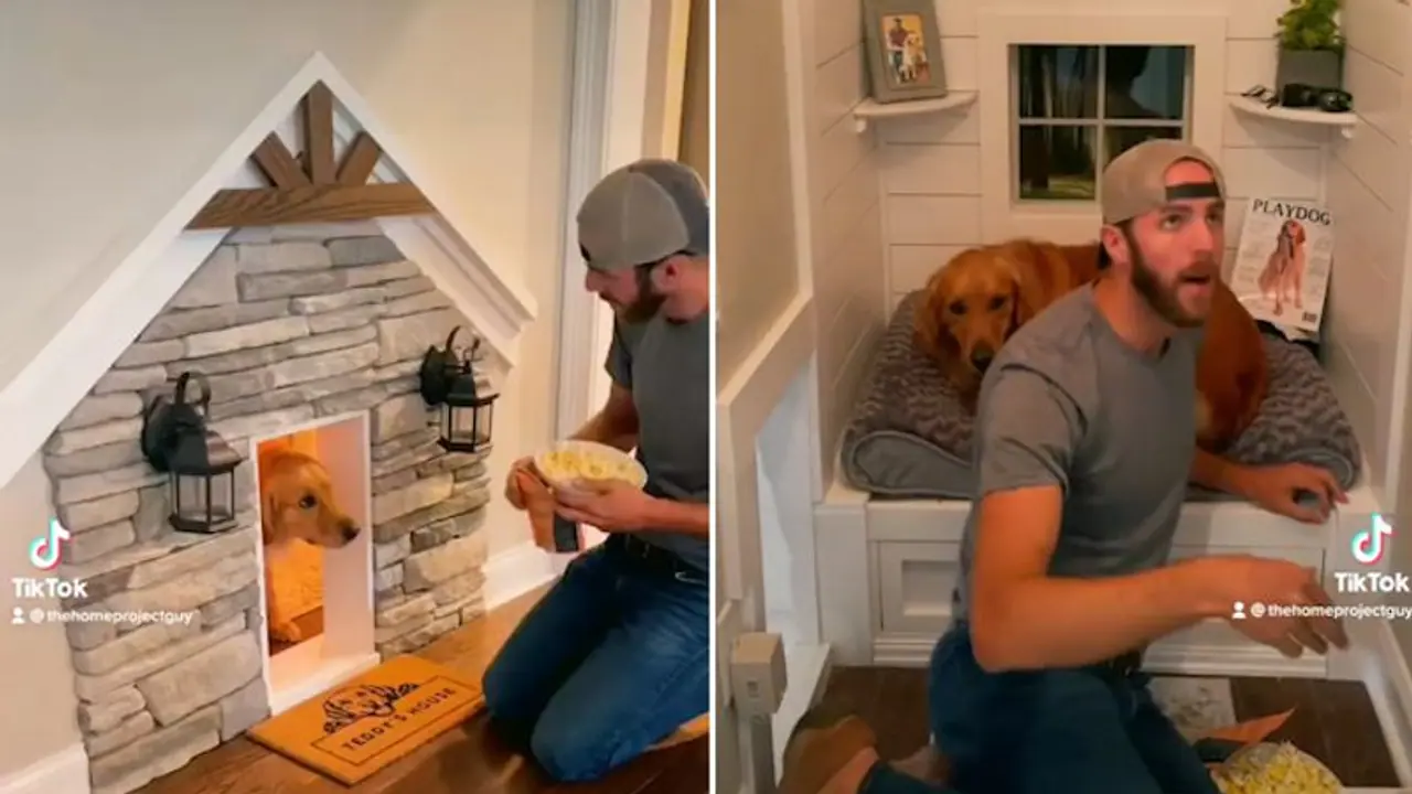 Human and dog watch movie inside dog's house; watch adorable video