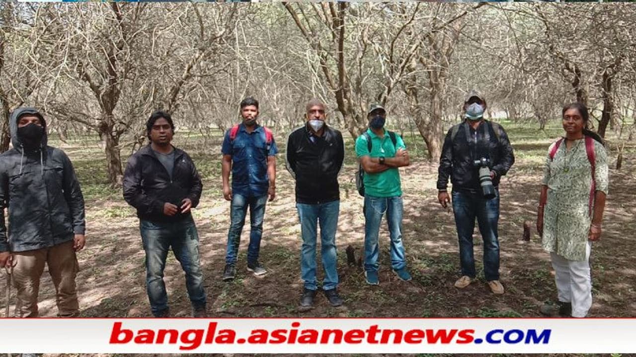 উন্নয়নের বলি ৬৩১৬টি গাছ, বিপন্ন পাখি পতঙ্গ প্রজাপতিরাও রুখে দাঁড়ালো নমো বেঙ্গালুরু উন্নয়নের বলি ৬৩১৬টি গাছ, বিপন্ন পাখি পতঙ্গ প্রজাপতিরাও রুখে দাঁড়ালো নমো বেঙ্গালুরু