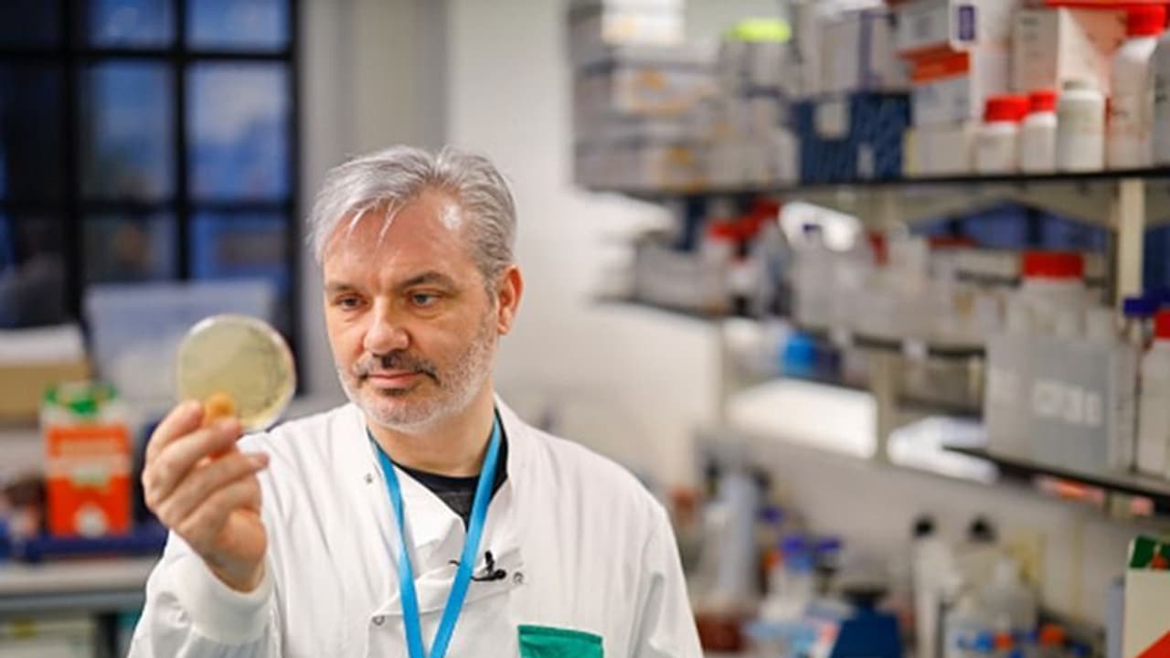 করোনার সপ্তম রূপ Lambdaর আতঙ্ক ৩০টি দেশে, ভারতে কী রয়েছে এটি করোনার সপ্তম রূপ Lambdaর আতঙ্ক ৩০টি দেশে, ভারতে কী রয়েছে এটি