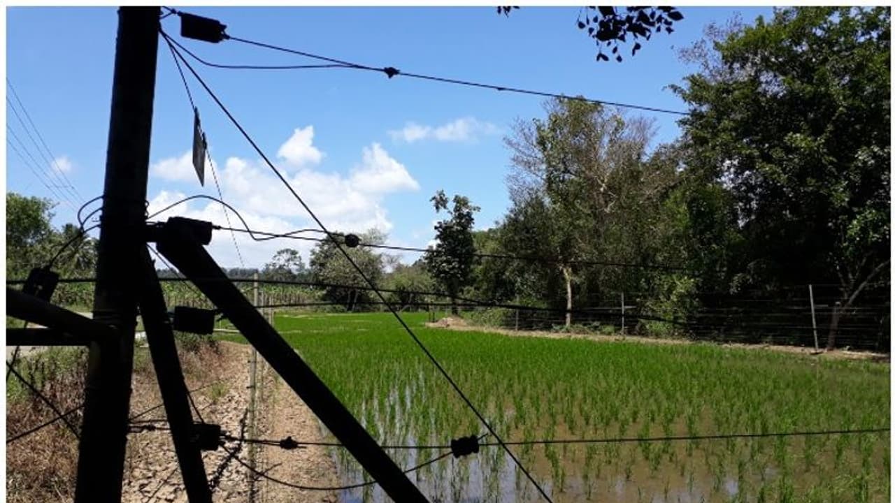 ആദിവാസി യുവാവ് ഷോക്കേറ്റ് മരിച്ചു സംഭവം; അനധികൃതമായി വൈദ്യുത വേലി സ്ഥാപിച്ച സ്ഥലമുടമയ്ക്ക് എതിരെ കേസ് ആദിവാസി യുവാവ് ഷോക്കേറ്റ് മരിച്ചു സംഭവം; അനധികൃതമായി വൈദ്യുത വേലി സ്ഥാപിച്ച സ്ഥലമുടമയ്ക്ക് എതിരെ കേസ്