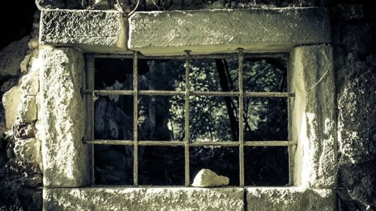 അച്ഛൻ കടം വാങ്ങി, 12 ാം വയസ് മുതൽ വീട്ടുവേല ചെയ്യേണ്ടി വന്ന കുട്ടി, ഒടുവിൽ മോചനം അച്ഛൻ കടം വാങ്ങി, 12 ാം വയസ് മുതൽ വീട്ടുവേല ചെയ്യേണ്ടി വന്ന കുട്ടി, ഒടുവിൽ മോചനം