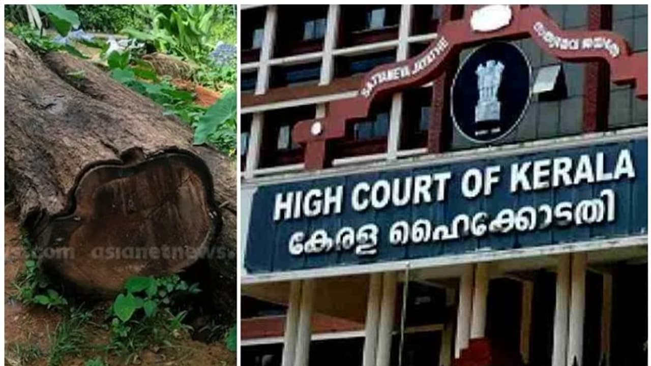 മുട്ടിൽ മരംമുറി കേസ്: പ്രതികളുടെ മുൻകൂർ ജാമ്യഹർജിയിൽ നാളെ വാദം തുടരും മുട്ടിൽ മരംമുറി കേസ്: പ്രതികളുടെ മുൻകൂർ ജാമ്യഹർജിയിൽ നാളെ വാദം തുടരും