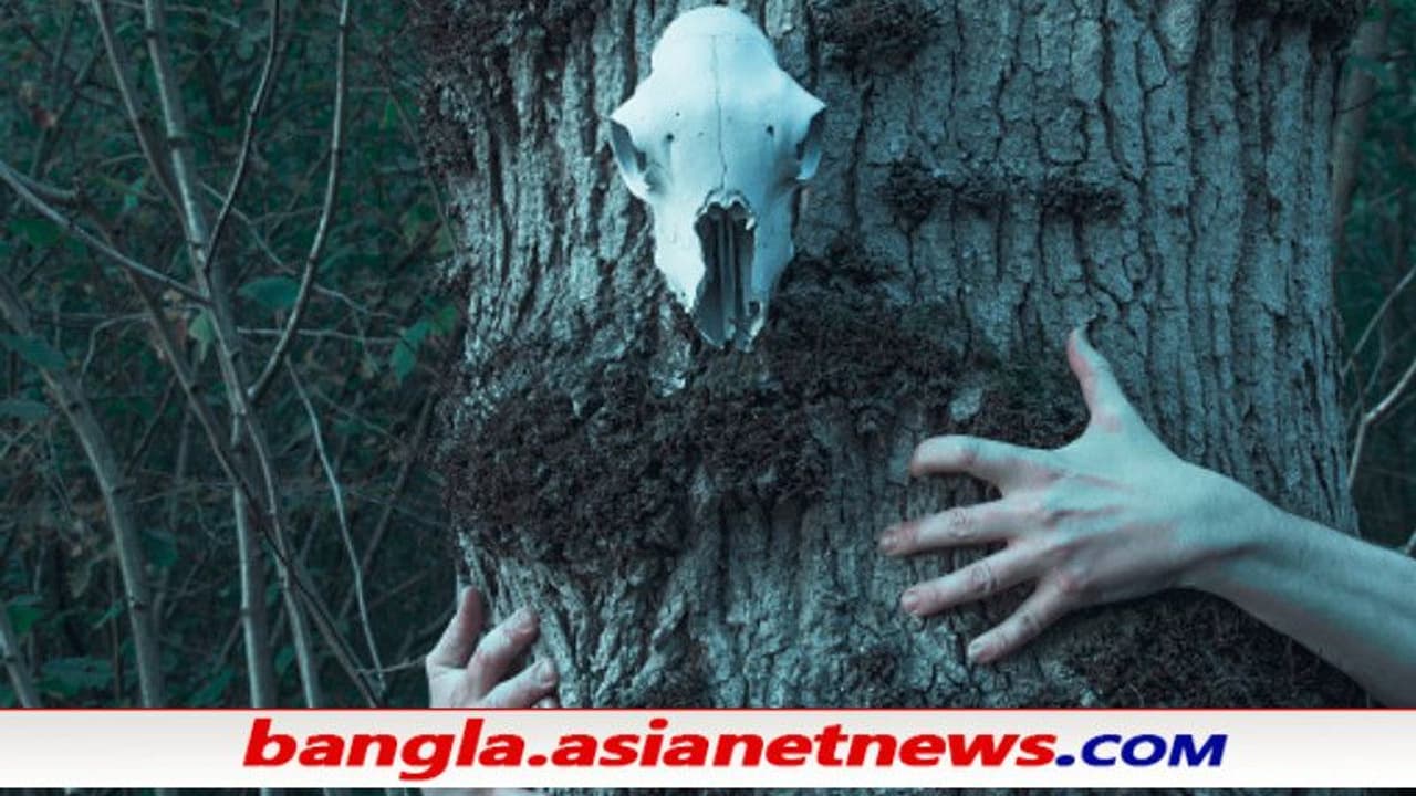 জানুয়ারি থেকে বারবার 'স্বপ্নে ধর্ষণ' করছে তান্ত্রিক, থানায় অভিযোগ জানালেন 'ধর্ষিতা' জানুয়ারি থেকে বারবার 'স্বপ্নে ধর্ষণ' করছে তান্ত্রিক, থানায় অভিযোগ জানালেন 'ধর্ষিতা'