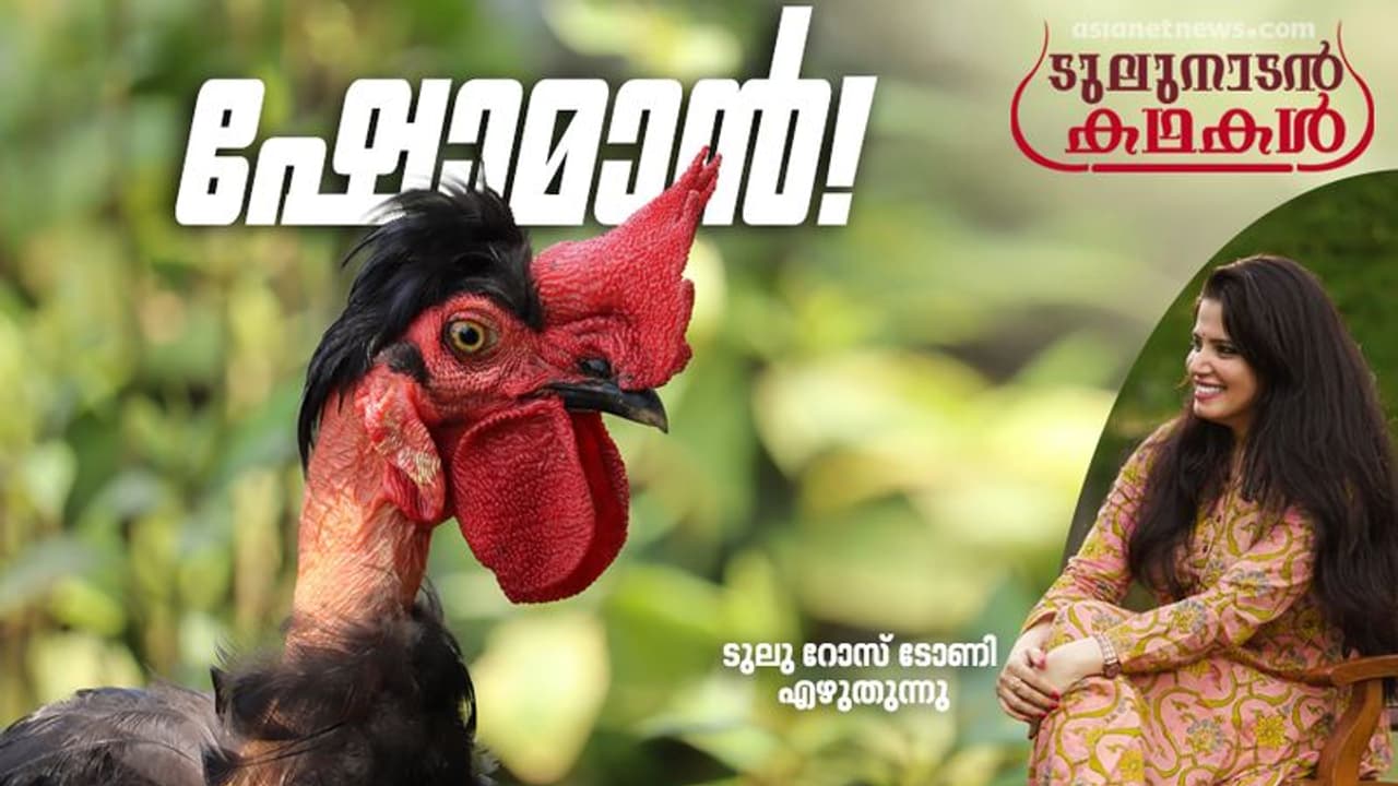 ഇപ്പോഴായിരുന്നെങ്കില്‍, ഒരു വീഡിയോ എടുത്ത് ഞാനയാളെ വൈറലാക്കിയേനെ