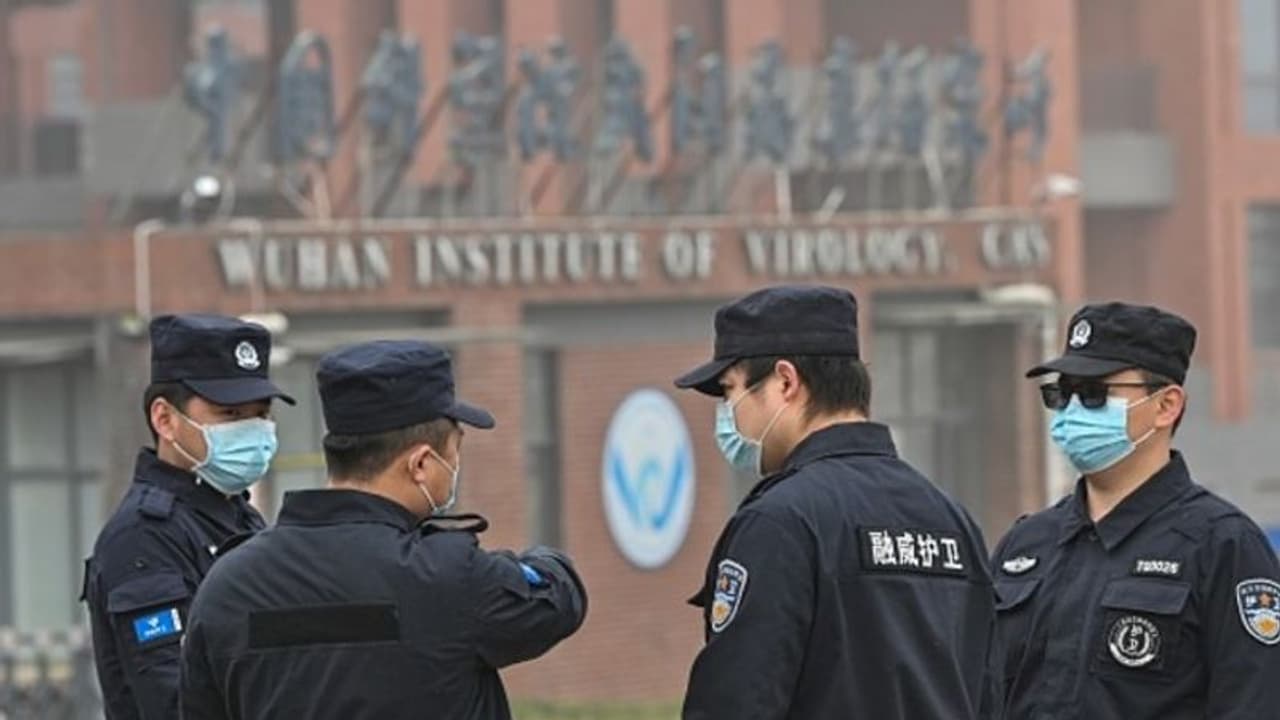 Leak from Wuhan lab region 'more likely' as origin of COVID: Canadian biologist to UK Parliament Leak from Wuhan lab region 'more likely' as origin of COVID: Canadian biologist to UK Parliament