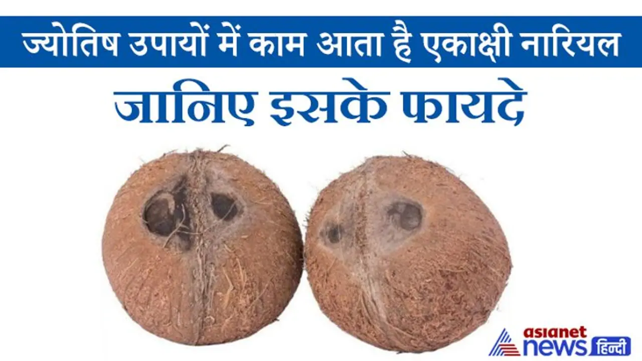 तंत्र और ज्योतिष उपायों में काम आता है एकाक्षी नारियल, इसे घर में रखने से बनी रहती है सुख समृद्धि तंत्र और ज्योतिष उपायों में काम आता है एकाक्षी नारियल, इसे घर में रखने से बनी रहती है सुख समृद्धि