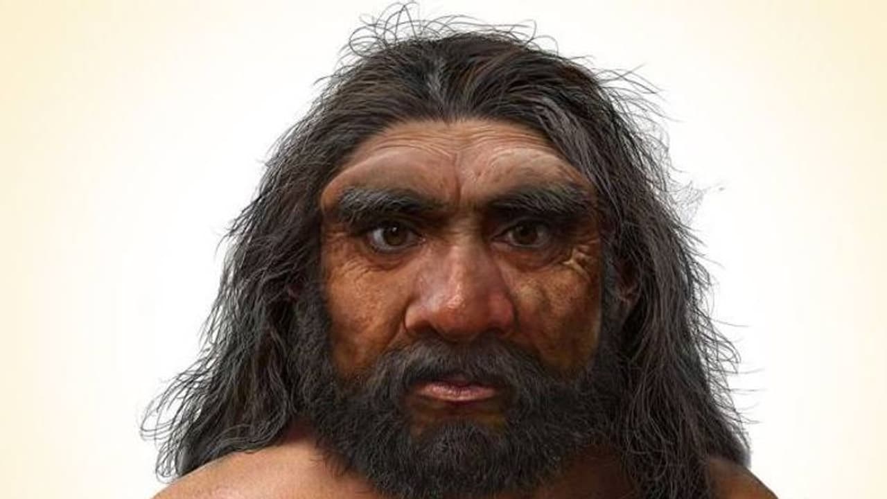 ചൈനയിൽ നിന്നും 'ഡ്രാഗൺ മാൻ', മനുഷ്യന്റെ ഇതുവരെ അറിയാത്ത പൂർവികർ, കണ്ടെത്തലിന്റെ ആവേശത്തിൽ ഗവേഷകർ ചൈനയിൽ നിന്നും 'ഡ്രാഗൺ മാൻ', മനുഷ്യന്റെ ഇതുവരെ അറിയാത്ത പൂർവികർ, കണ്ടെത്തലിന്റെ ആവേശത്തിൽ ഗവേഷകർ