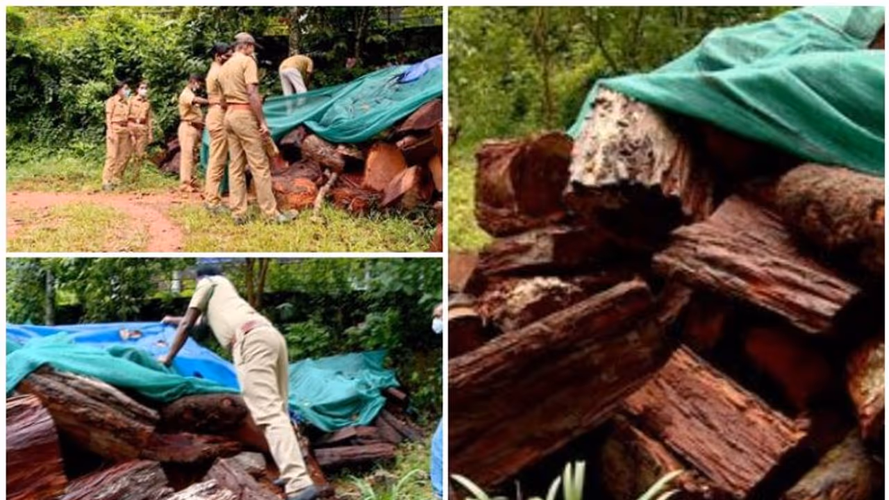 ഇടുക്കിയിൽ മരംവെട്ടി കടത്തിയ സംഭവം; സിപിഐ നേതാവ് ഉൾപ്പെടെ മൂന്ന് പേർക്കെതിരെ കേസ് ഇടുക്കിയിൽ മരംവെട്ടി കടത്തിയ സംഭവം; സിപിഐ നേതാവ് ഉൾപ്പെടെ മൂന്ന് പേർക്കെതിരെ കേസ്