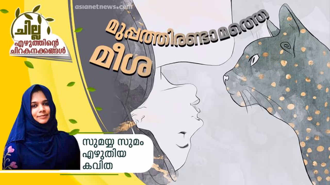 മുപ്പത്തിരണ്ടാമത്തെ മീശ, സുമയ്യ സുമം എഴുതിയ കവിത