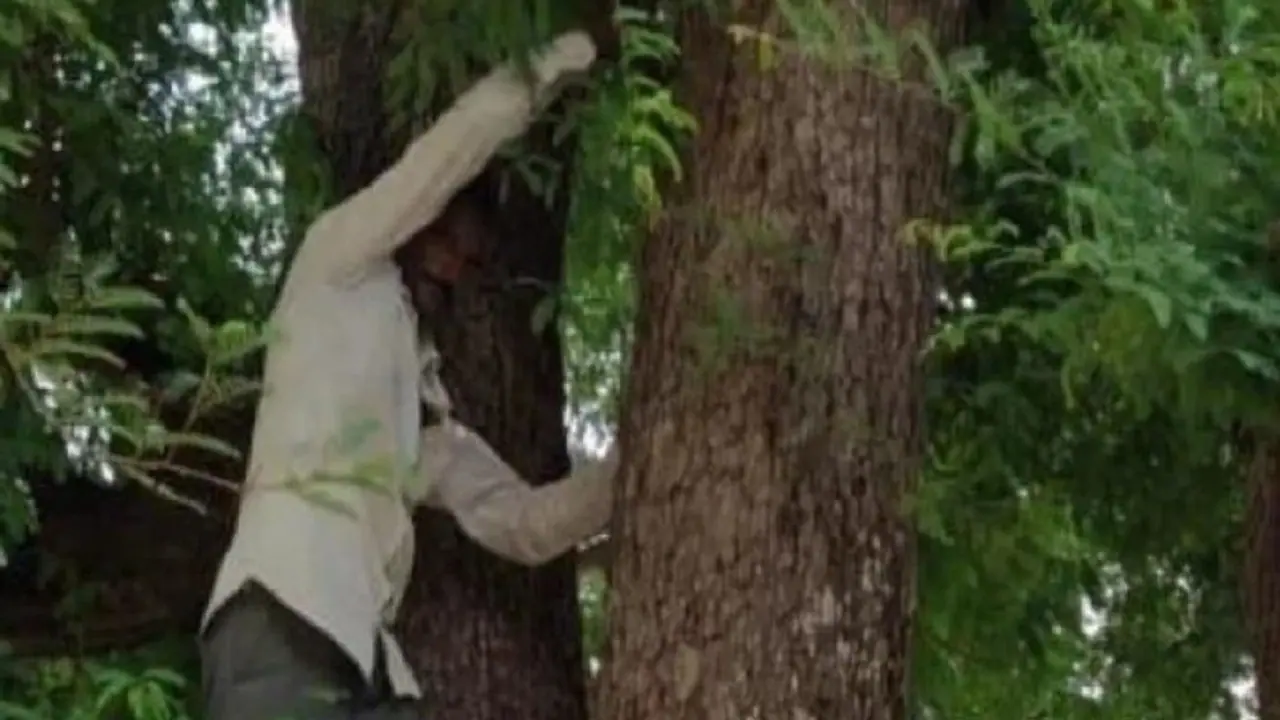 वैक्सीन लगवाने पहुंची पत्नी, तो आधार कार्ड लेकर पेड़ पर चढ़ गया पति..डोज खत्म होने के बाद आया नीचे वैक्सीन लगवाने पहुंची पत्नी, तो आधार कार्ड लेकर पेड़ पर चढ़ गया पति..डोज खत्म होने के बाद आया नीचे