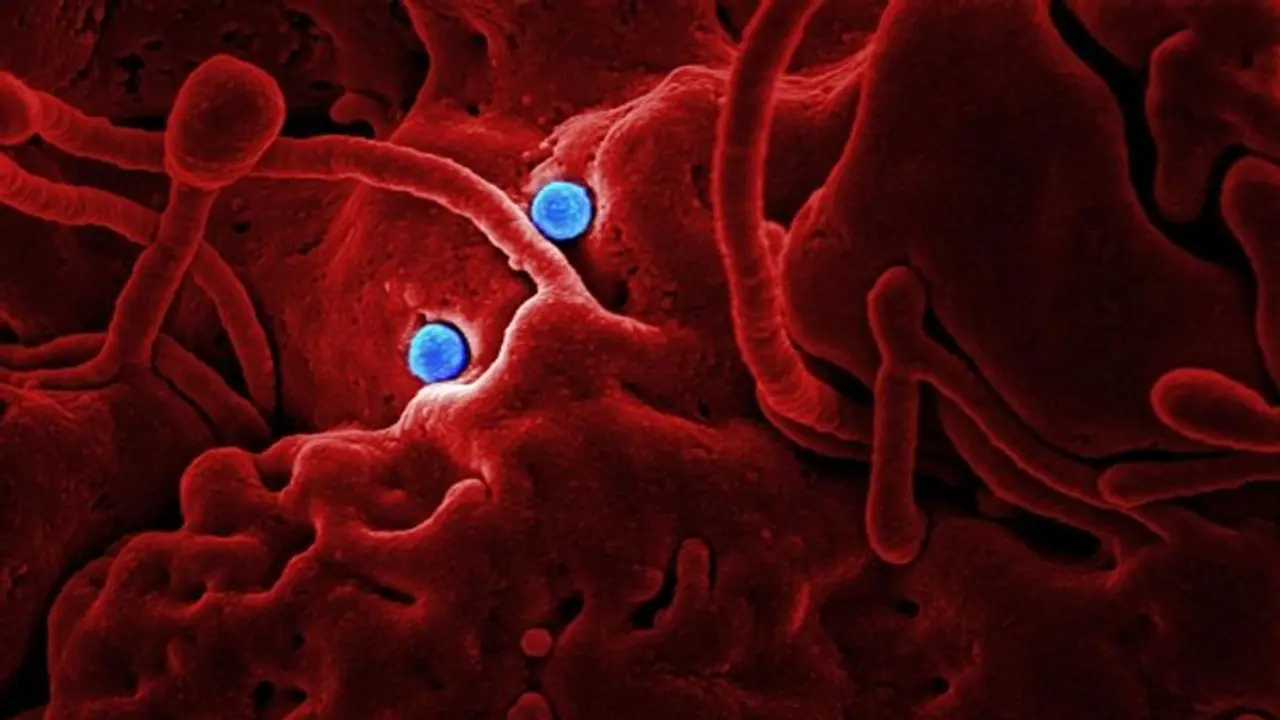 India reports less than 30,000 daily cases after over 4 months India reports less than 30,000 daily cases after over 4 months