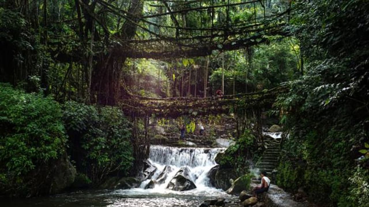 ഇന്ത്യയിലെ ഏറ്റവും വൃത്തിയുള്ള നാട് ഇതോ? അറിയപ്പെടുന്നത് 'ദൈവത്തിന്റെ സ്വന്തം പൂന്തോട്ടം' എന്ന പേരിൽ ഇന്ത്യയിലെ ഏറ്റവും വൃത്തിയുള്ള നാട് ഇതോ? അറിയപ്പെടുന്നത് 'ദൈവത്തിന്റെ സ്വന്തം പൂന്തോട്ടം' എന്ന പേരിൽ