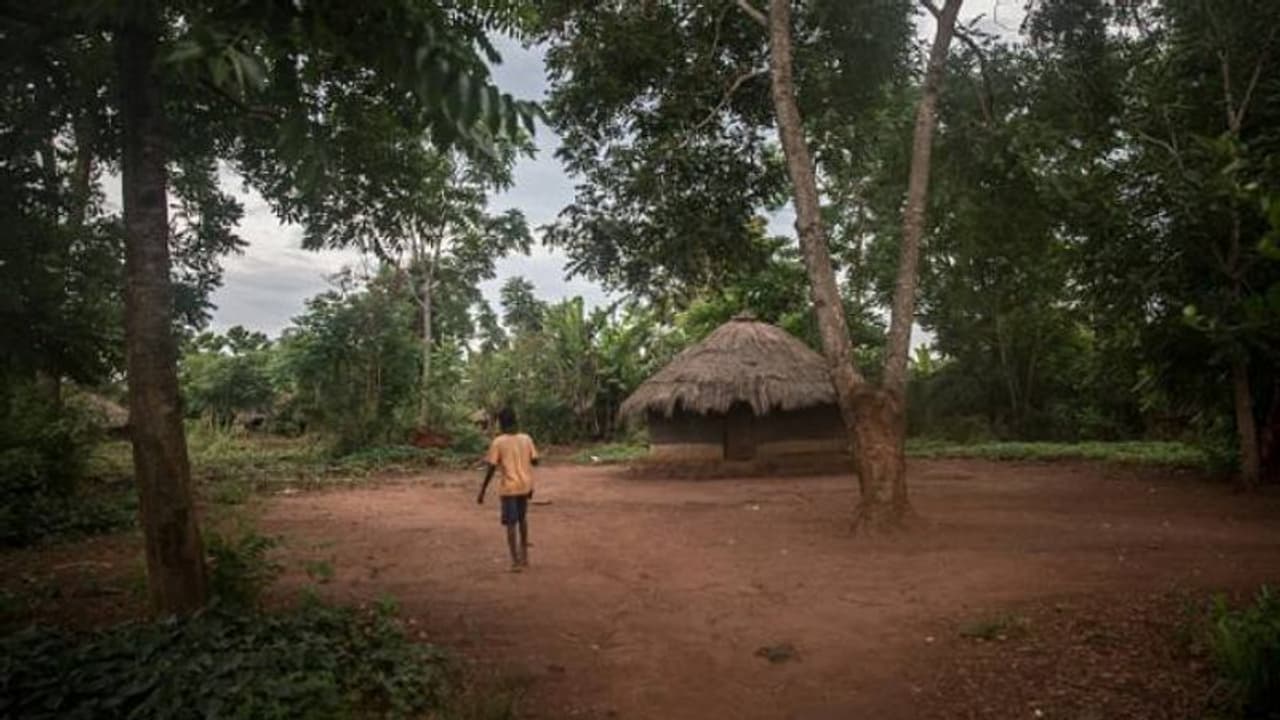 കൊവിഡ് മഹാമാരി, പട്ടിണി, ദാരിദ്ര്യം: തൊഴിലെടുക്കാൻ നിർബന്ധിക്കപ്പെട്ട് കുഞ്ഞുങ്ങൾ കൊവിഡ് മഹാമാരി, പട്ടിണി, ദാരിദ്ര്യം: തൊഴിലെടുക്കാൻ നിർബന്ധിക്കപ്പെട്ട് കുഞ്ഞുങ്ങൾ
