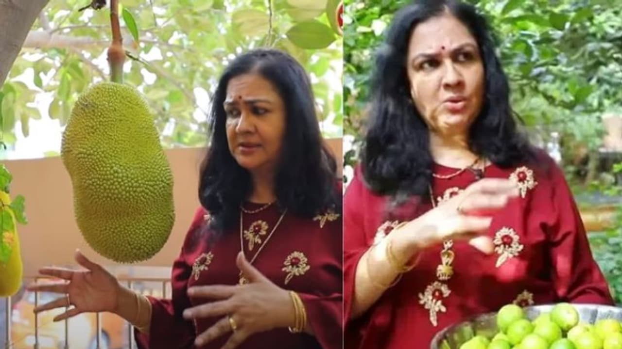 ചെന്നൈയിലെ വീടും തോട്ടവും പരിചയപ്പെടുത്തി ഉർവ്വശി; വീഡിയോ ചെന്നൈയിലെ വീടും തോട്ടവും പരിചയപ്പെടുത്തി ഉർവ്വശി; വീഡിയോ