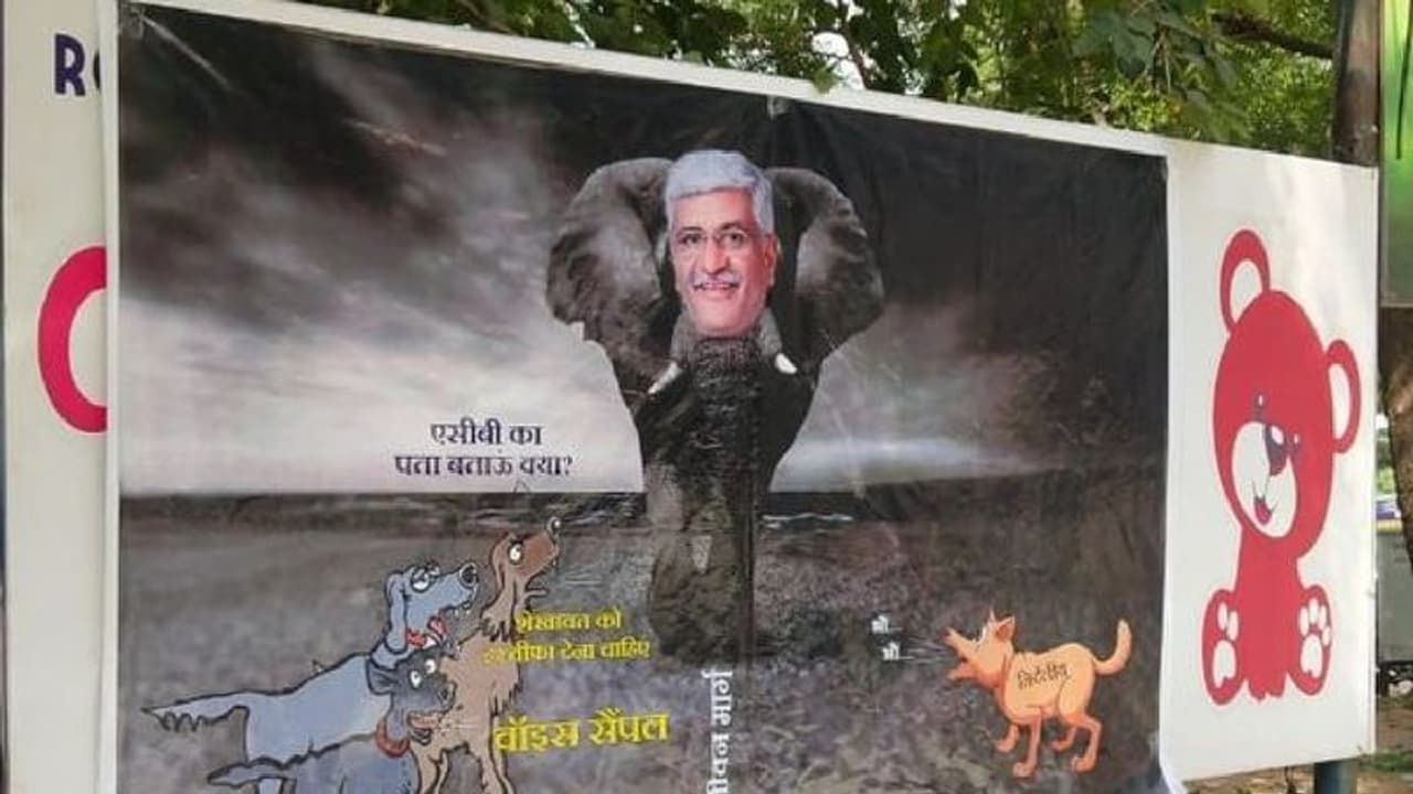 राजस्थान की सियायत में जानवरों की एंट्री: कोई गीदड़ शेर लेकर आया तो किसी ने लगवाए हाथी कुत्ते वाले बैनर राजस्थान की सियायत में जानवरों की एंट्री: कोई गीदड़ शेर लेकर आया तो किसी ने लगवाए हाथी कुत्ते वाले बैनर