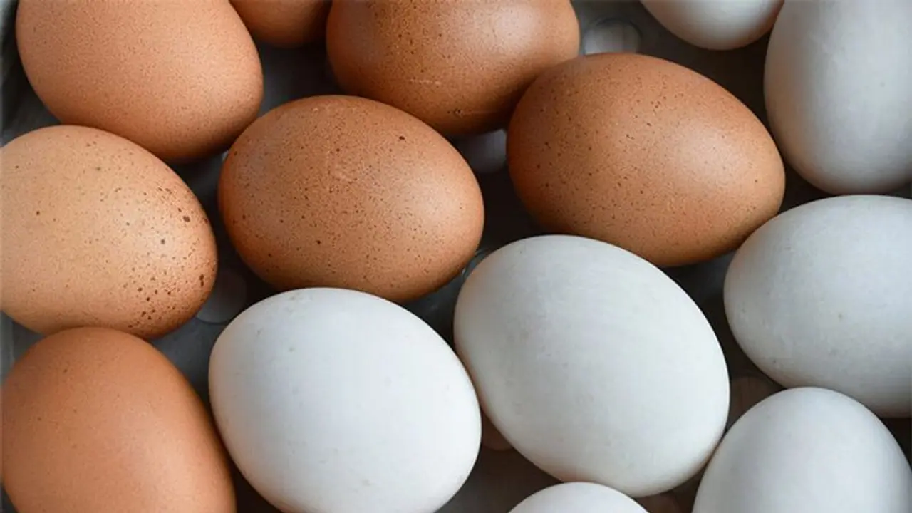 5 കോടി മുട്ട കയറ്റുമതി ചെയ്യാൻ ഇന്ത്യ; കൂടുതൽ ഈ ഏഷ്യൻ രാജ്യത്തേക്ക് 5 കോടി മുട്ട കയറ്റുമതി ചെയ്യാൻ ഇന്ത്യ; കൂടുതൽ ഈ ഏഷ്യൻ രാജ്യത്തേക്ക്