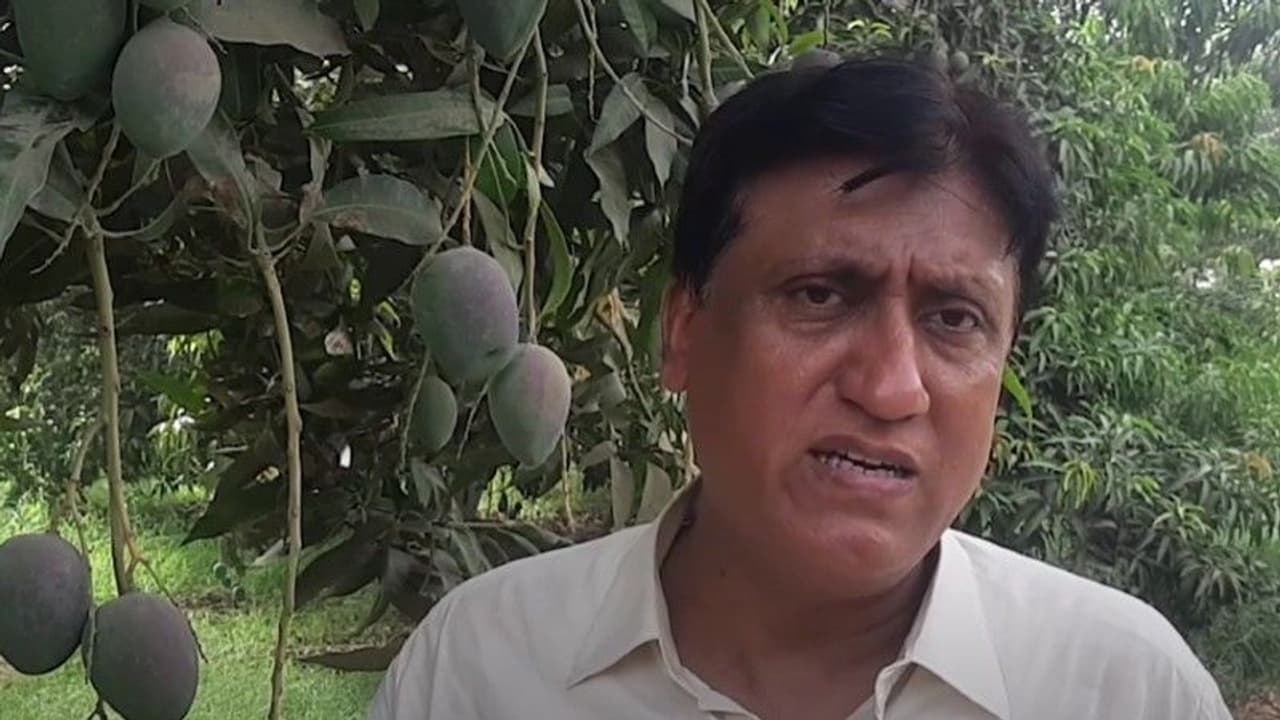 പ്രമേഹരോഗികള്ക്കു കഴിക്കാവുന്ന മാമ്പഴങ്ങളുമായി പാക് കര്ഷകന് പ്രമേഹരോഗികള്ക്കു കഴിക്കാവുന്ന മാമ്പഴങ്ങളുമായി പാക് കര്ഷകന്