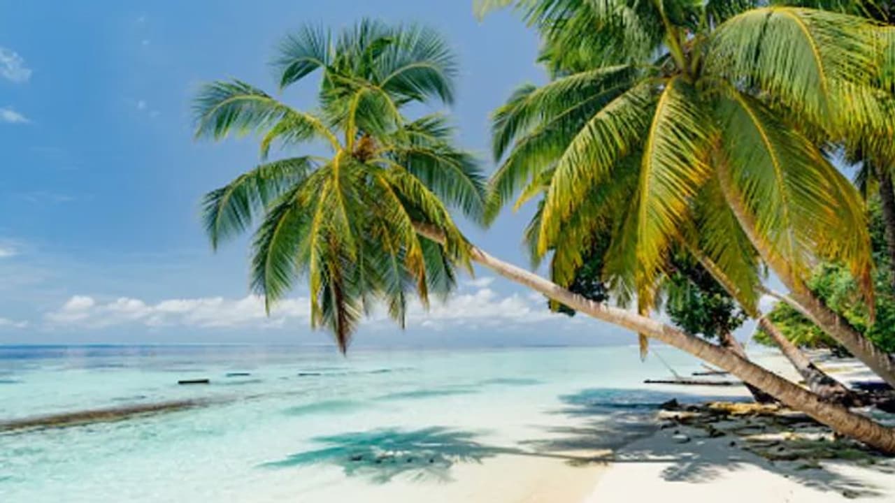 Visa Free: বিনা ভিসা মালদ্বীপের জন্য, করোনা বিধি শিথিল হওয়ার পরে ২০১৮ সালের চুক্তি কার্যকর কেন্দ্রের Visa Free: বিনা ভিসা মালদ্বীপের জন্য, করোনা বিধি শিথিল হওয়ার পরে ২০১৮ সালের চুক্তি কার্যকর কেন্দ্রের