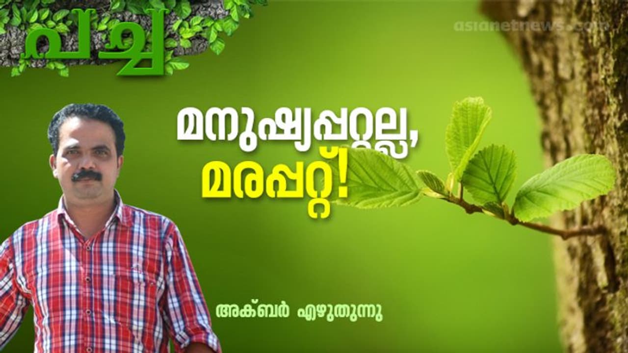 മരങ്ങള് കാടിറങ്ങുമ്പോള്... മരങ്ങള് കാടിറങ്ങുമ്പോള്...