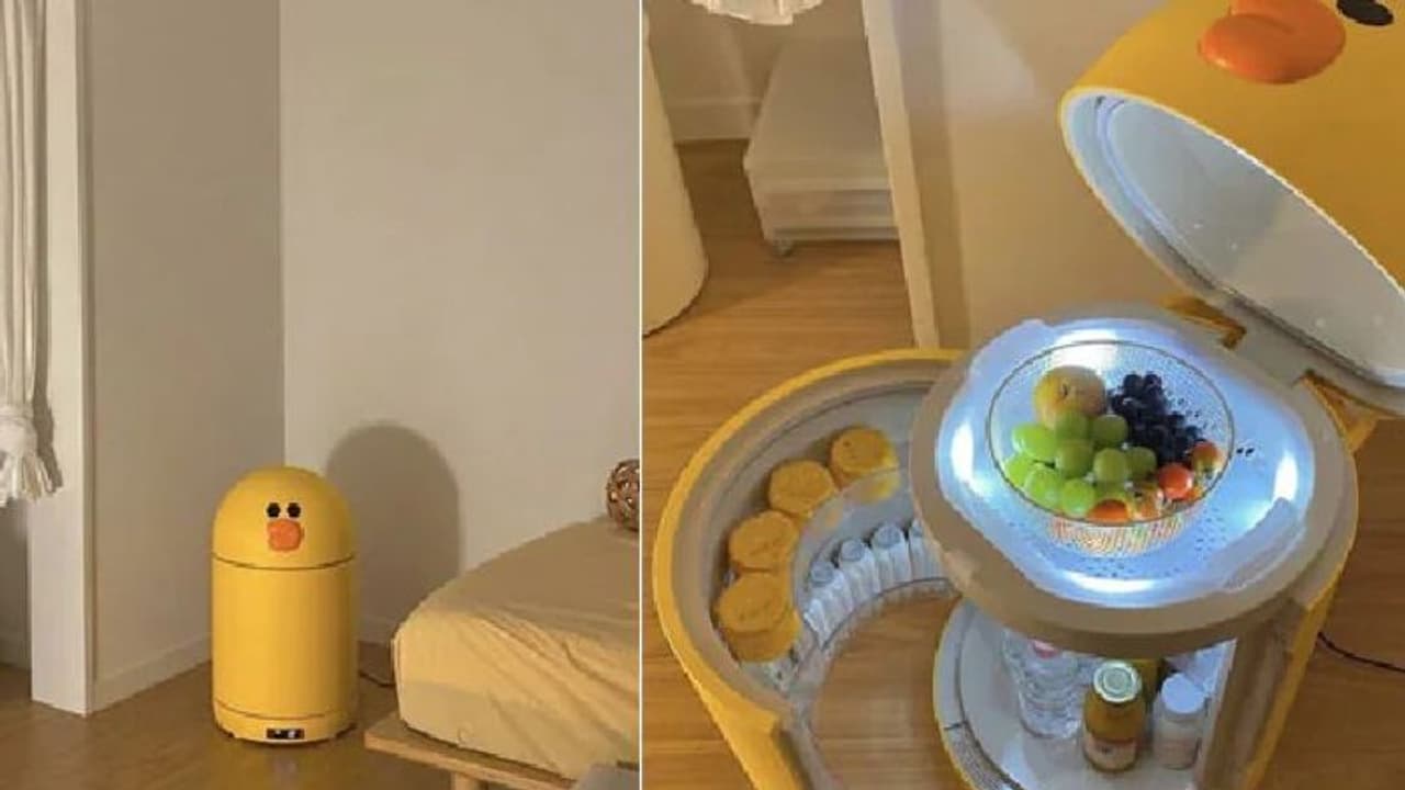 ഇങ്ങനെയൊരെണ്ണം കിടപ്പുമുറിയില് വേണോ? വൈറലായി 'താറാവ്' ഇങ്ങനെയൊരെണ്ണം കിടപ്പുമുറിയില് വേണോ? വൈറലായി 'താറാവ്'