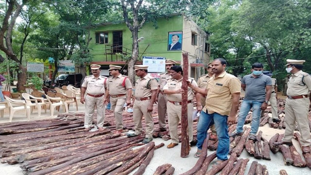 భారీ ఎర్రచందనం డంప్ కనుగొన్న టాస్క్ ఫోర్స్.. 348 ఎర్రచందనం దుంగలు స్వాధీనం... భారీ ఎర్రచందనం డంప్ కనుగొన్న టాస్క్ ఫోర్స్.. 348 ఎర్రచందనం దుంగలు స్వాధీనం...