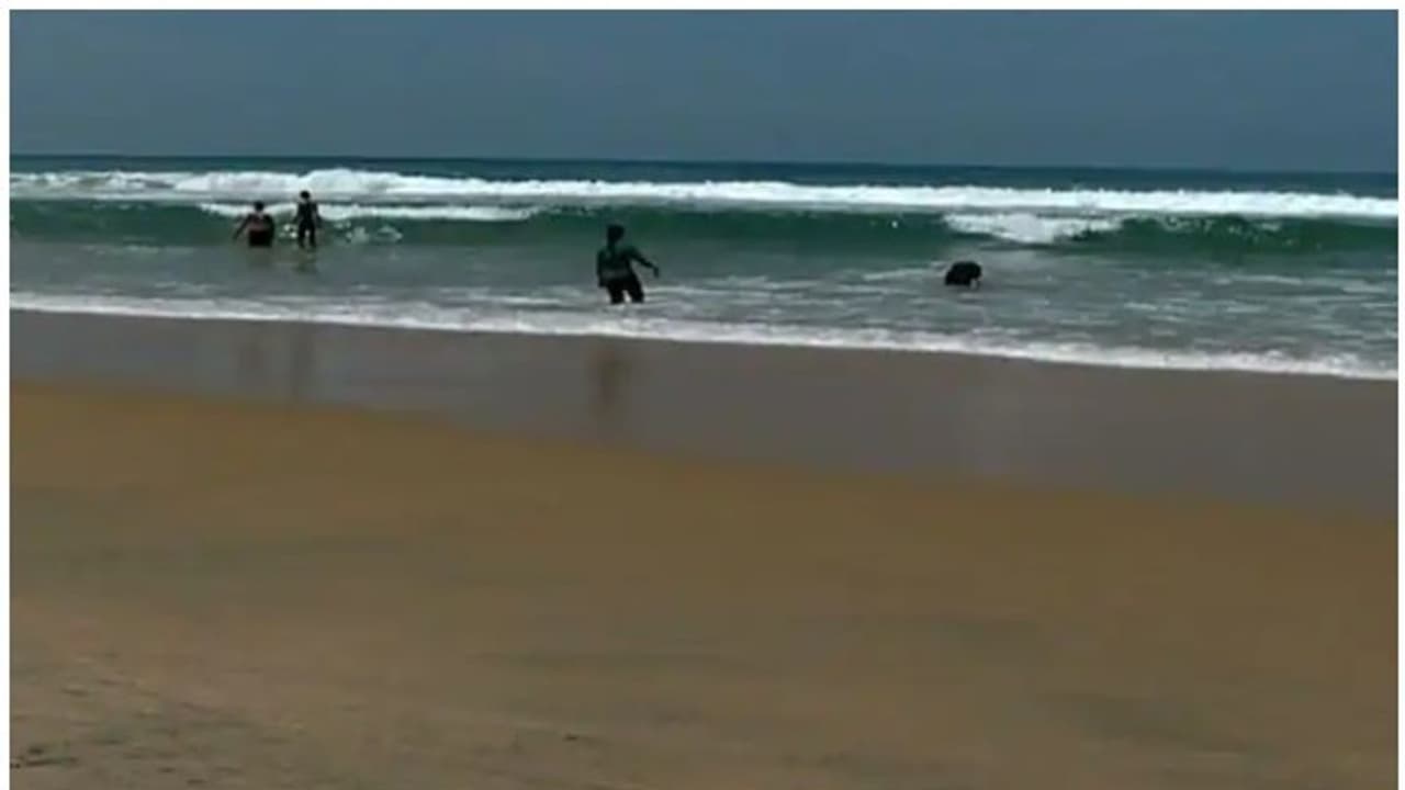 ലോകത്തിലെ ഏറ്റവും മനോഹര ബീച്ചുകളിൽ ഇടം നേടി കേരള തലസ്ഥാനത്തെ ഈ ബീച്ചും ലോകത്തിലെ ഏറ്റവും മനോഹര ബീച്ചുകളിൽ ഇടം നേടി കേരള തലസ്ഥാനത്തെ ഈ ബീച്ചും