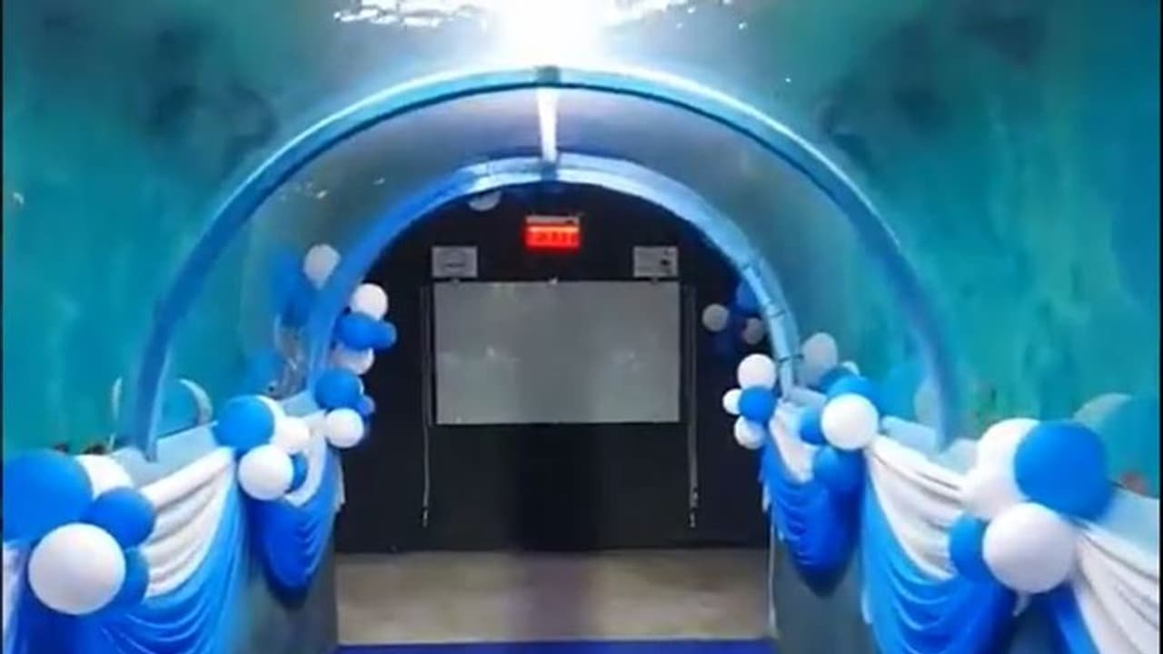 ಇದು ಸಿಂಗಾಪುರದ ಅಂಡರ್ ವಾಟರ್ ವರ್ಲ್ಡ್ ಅಲ್ಲ; ಬೆಂಗಳೂರಿನ ಅತ್ಯಾಕರ್ಷಕ ರೈಲು ನಿಲ್ದಾಣ! ಇದು ಸಿಂಗಾಪುರದ ಅಂಡರ್ ವಾಟರ್ ವರ್ಲ್ಡ್ ಅಲ್ಲ; ಬೆಂಗಳೂರಿನ ಅತ್ಯಾಕರ್ಷಕ ರೈಲು ನಿಲ್ದಾಣ!