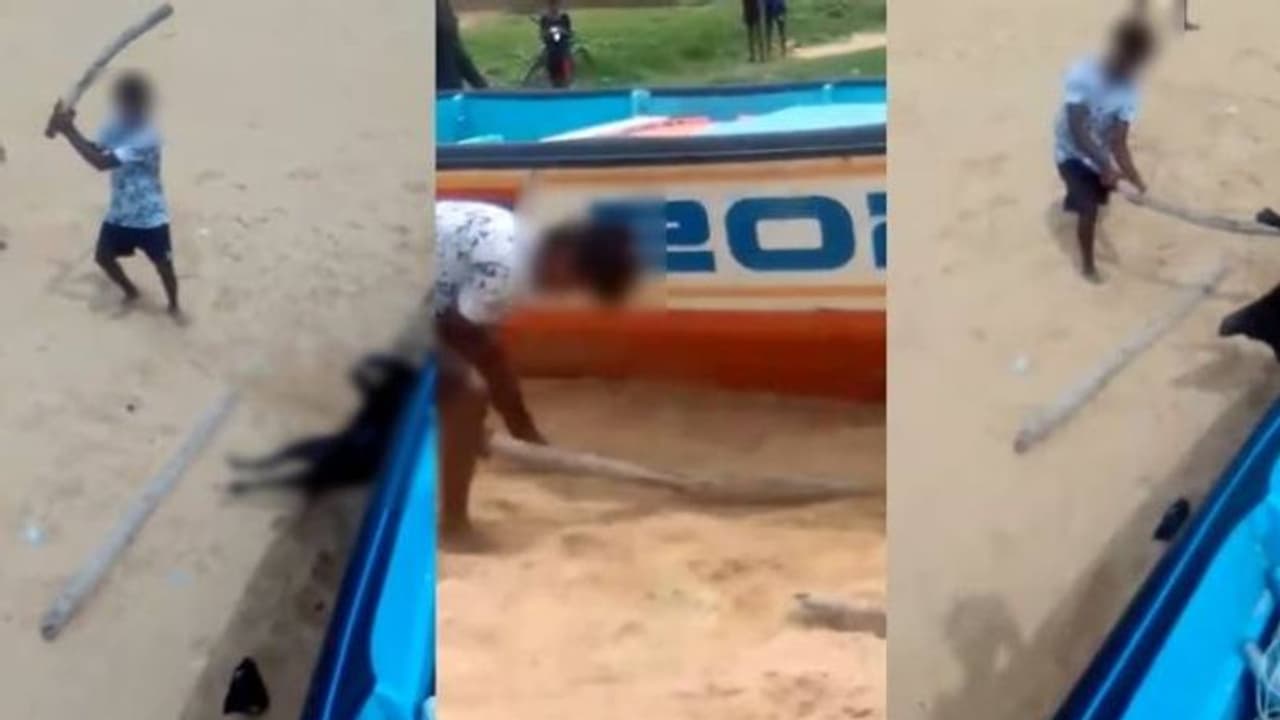 നായയെ കെട്ടിത്തൂക്കി തല്ലിക്കൊന്ന സംഭവത്തിൽ വേ​ഗത്തിൽ കുറ്റപത്രം സമ‍ർപ്പിക്കണമെന്ന് ഹൈക്കോടതി