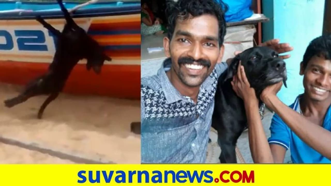 ಹಾಯಾಗಿ ಮಲಗಿದ್ದ ನಾಯಿಯನ್ನು ತೂಗಿಸಿ ಕಟ್ಟಿ ಬಡಿದು ಕೊಂದ ರಕ್ಕಸರು..!