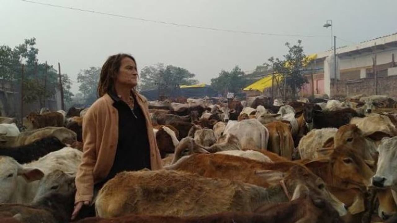 40 കൊല്ലം മുമ്പ് ഇന്ത്യയിലെത്തിയ ജർമ്മൻകാരി, ഇത് പശുക്കളെ പരിചരിക്കാനായി മാറ്റിവെച്ച ജീവിതം 40 കൊല്ലം മുമ്പ് ഇന്ത്യയിലെത്തിയ ജർമ്മൻകാരി, ഇത് പശുക്കളെ പരിചരിക്കാനായി മാറ്റിവെച്ച ജീവിതം