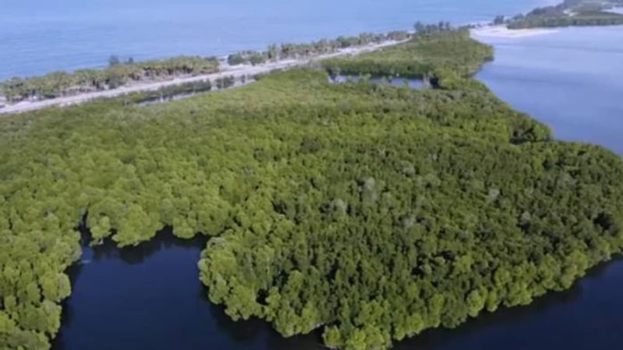 ഈ വനത്തിൽ പ്രവേശനം സ്ത്രീകൾക്ക് മാത്രം, നഗ്നരായി വേണം കഴിയാൻ, ഒളിച്ചുനോക്കാൻ വന്നാൽ പുരുഷന്മാർക്ക് പിഴ! ഈ വനത്തിൽ പ്രവേശനം സ്ത്രീകൾക്ക് മാത്രം, നഗ്നരായി വേണം കഴിയാൻ, ഒളിച്ചുനോക്കാൻ വന്നാൽ പുരുഷന്മാർക്ക് പിഴ!