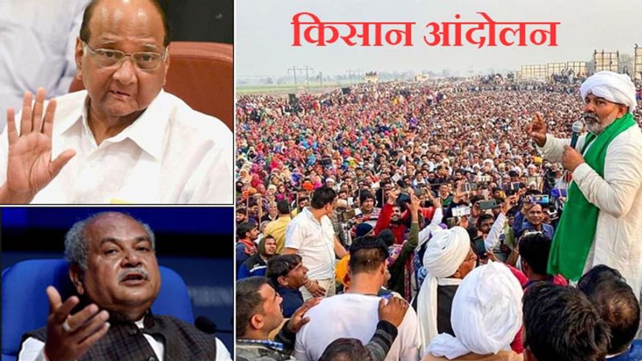 कृषि कानून पर पवार के नरम रुख का तोमर ने किया स्वागत आपत्ति वाले मुद्दों पर विचार होगा, टिकैत भी झुके