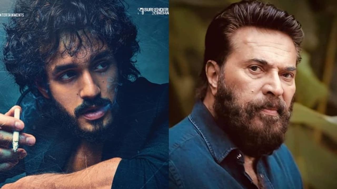അഖില്‍ അക്കിനേനിയുടെ വില്ലനാവാന്‍ മമ്മൂട്ടി വീണ്ടും തെലുങ്കിലേക്ക്? 'ഏജന്‍റ്' വരുന്നു