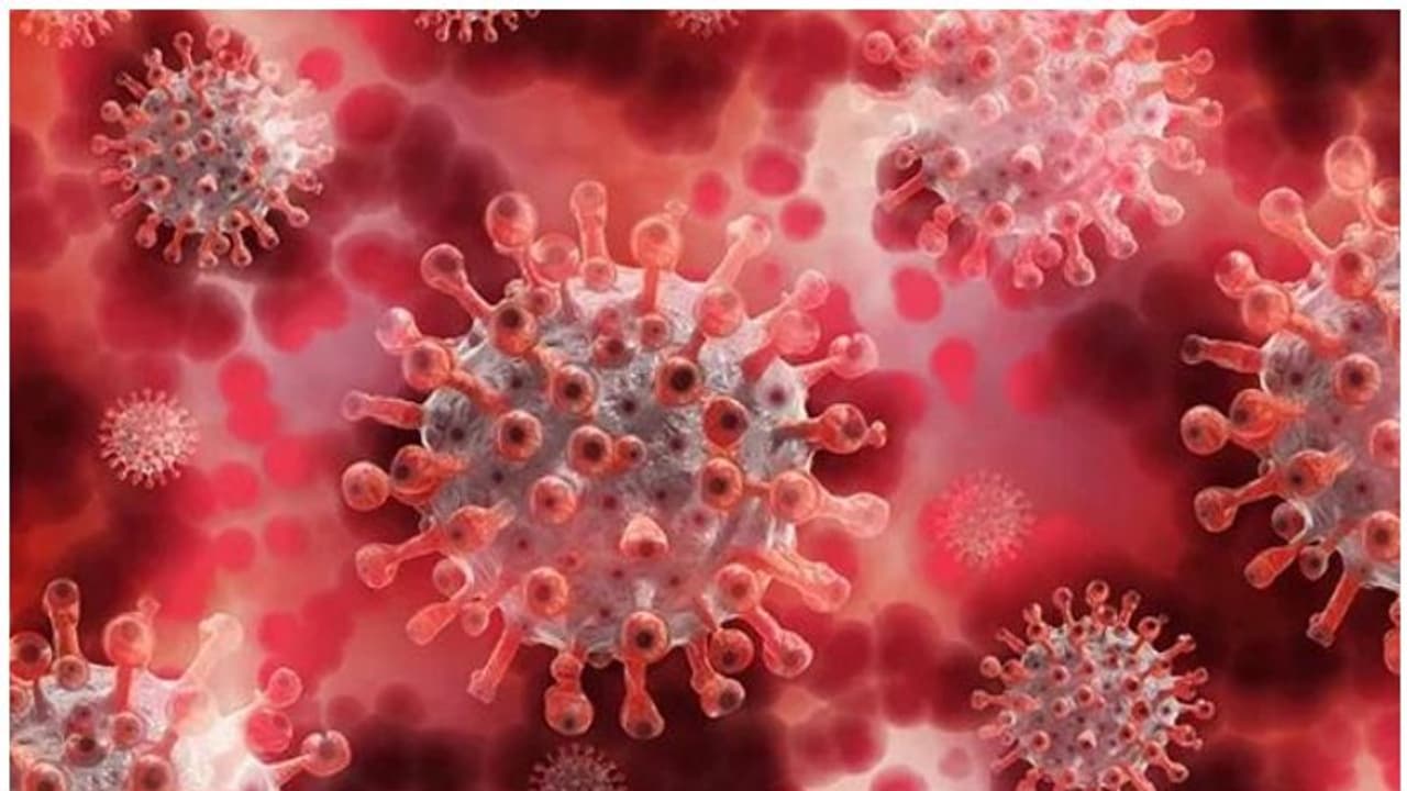 കൊവിഡ് ഭേദമായവരിൽ രക്തത്തിലെ പഞ്ചസാരയുടെ അളവ് കൂടുന്നതായി കണ്ടെത്തല് കൊവിഡ് ഭേദമായവരിൽ രക്തത്തിലെ പഞ്ചസാരയുടെ അളവ് കൂടുന്നതായി കണ്ടെത്തല്