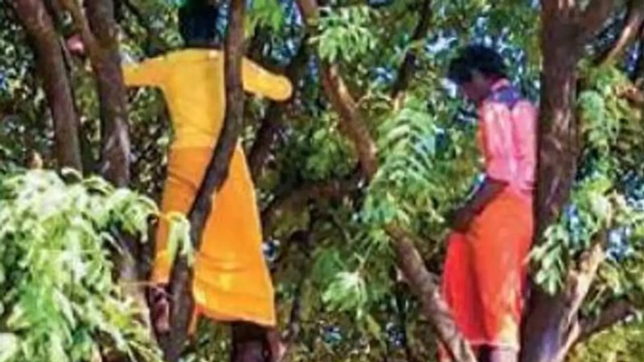 कोई पेड़ पर चढ़ा तो कोई पानी लाने के बहाने नदी की तरफ भागा, कोरोना वैक्सीन के डर से भागे गांव के लोग