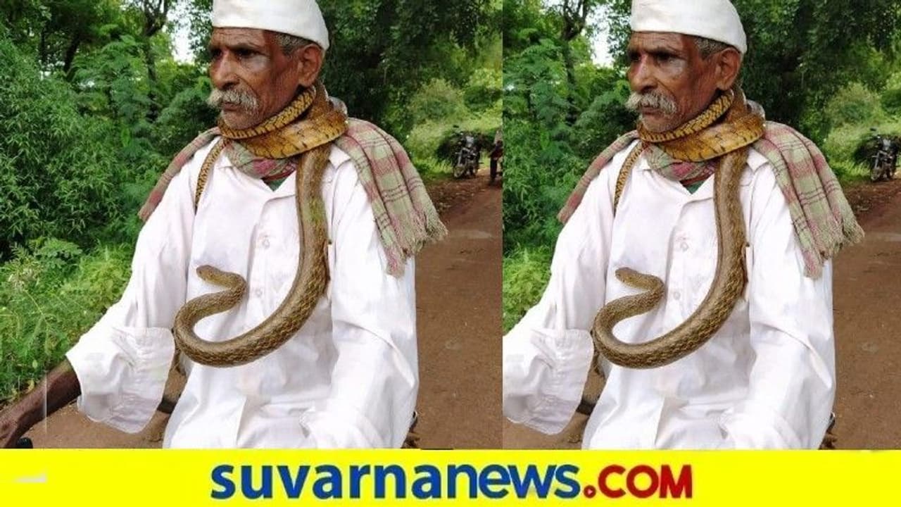 ಕೊರಳಲ್ಲಿ ಹಾವು ಸುತ್ತಿಕೊಂಡು ಸೈಕಲ್‌ ಸವಾರಿ ಮಾಡಿದ ವೃದ್ಧ